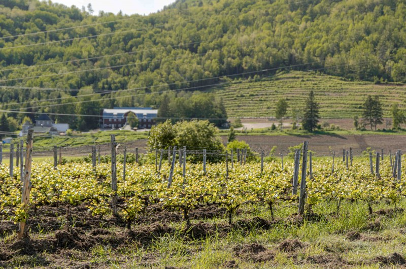 Famille Migneron de Charlevoix