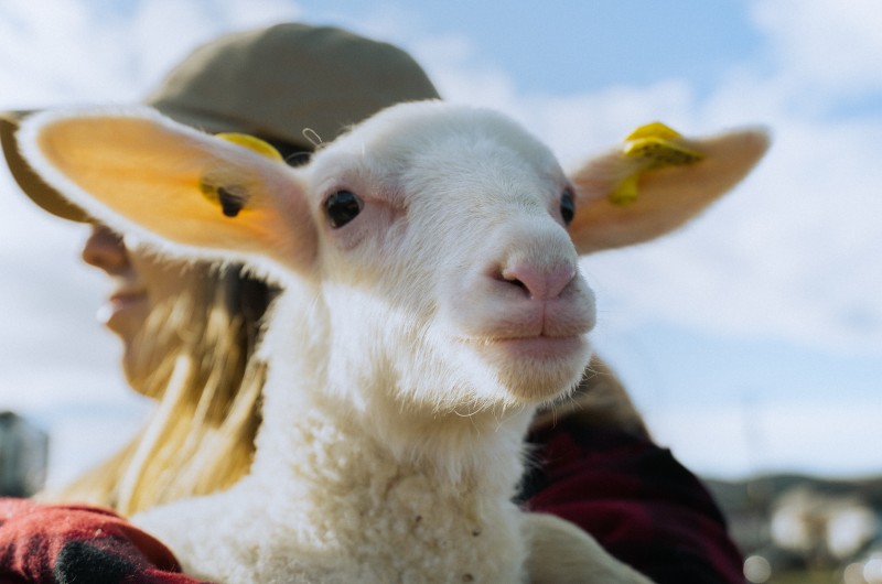 Famille Migneron de Charlevoix