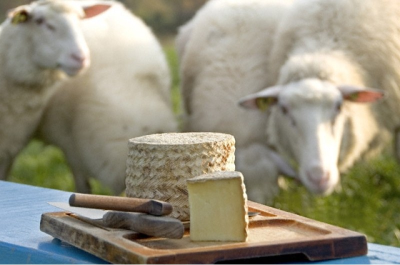 Fromagerie de la Moutonnière